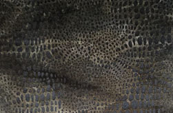 ˿��������Ƥ������޲�