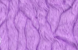 HPëƤˢ��������޲�